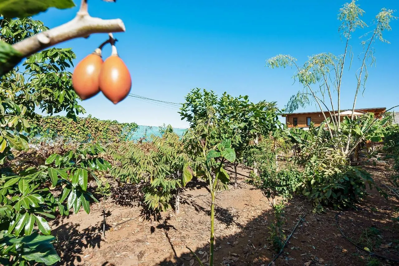 Apartamento Las Vinas 1 Icod De Los Vinos 0*,  Hiszpania