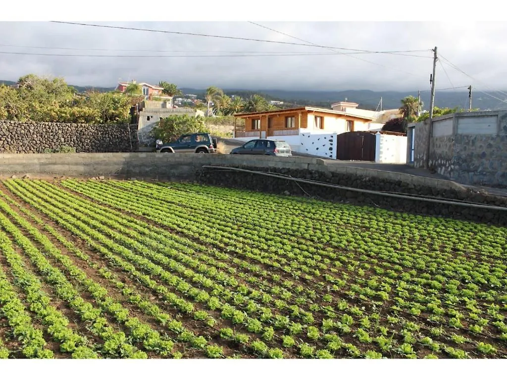 Apartamento Las Vinas 1 Icod De Los Vinos 0*,  Spain